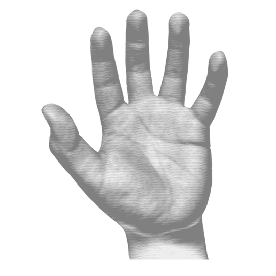 Basic Hand Position
