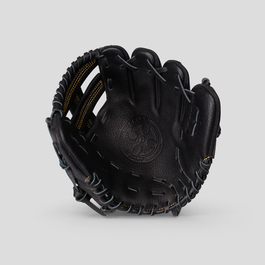 Training 9.5" 10" Fielder's Glove